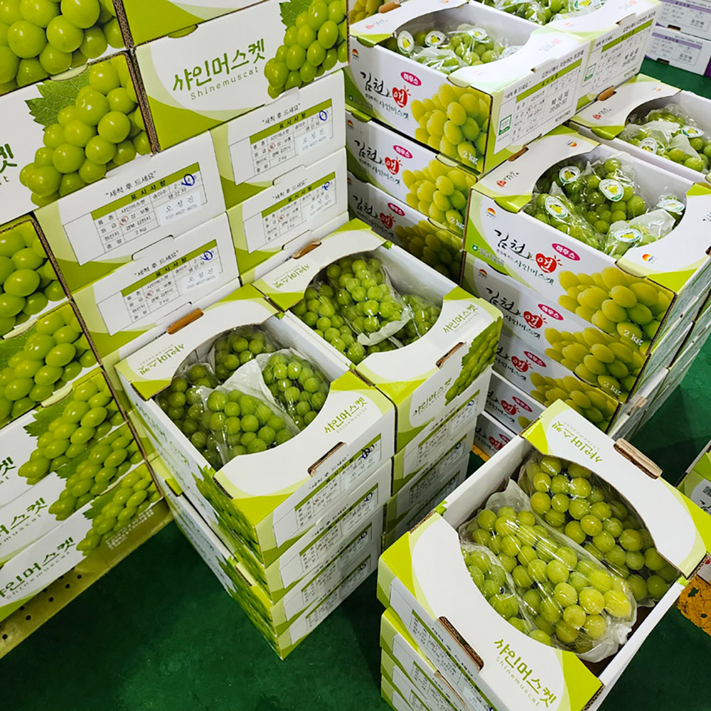 1693963764 thumbnail