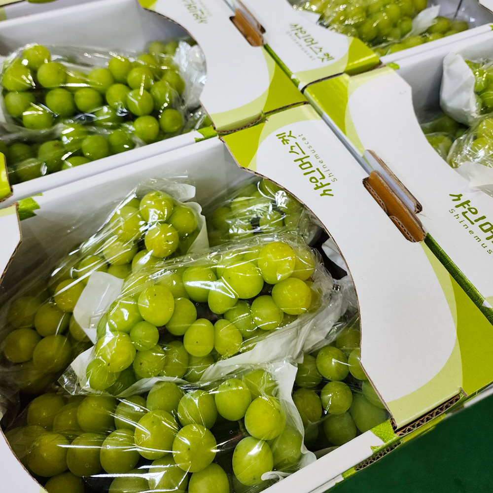 1693963765 thumbnail