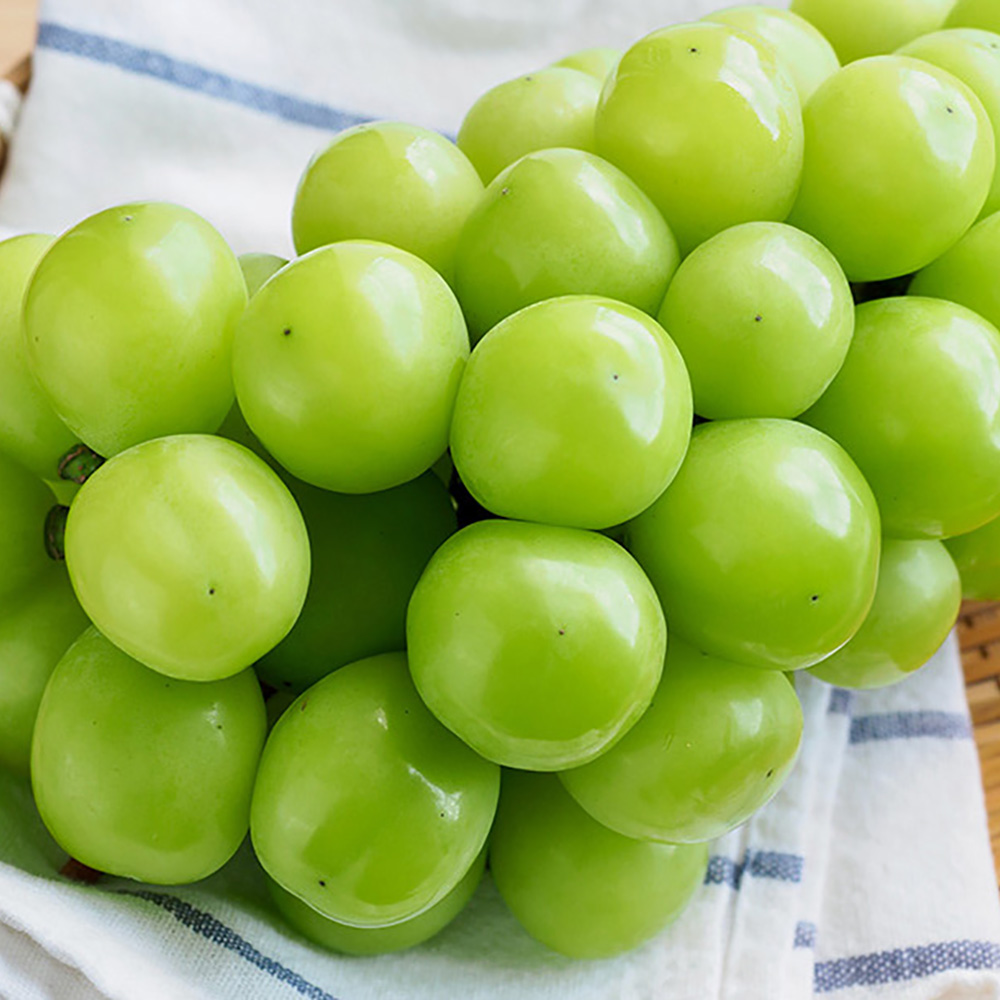 1693963766 thumbnail