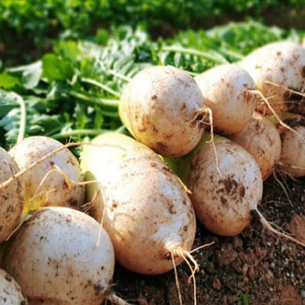 1693964895 thumbnail