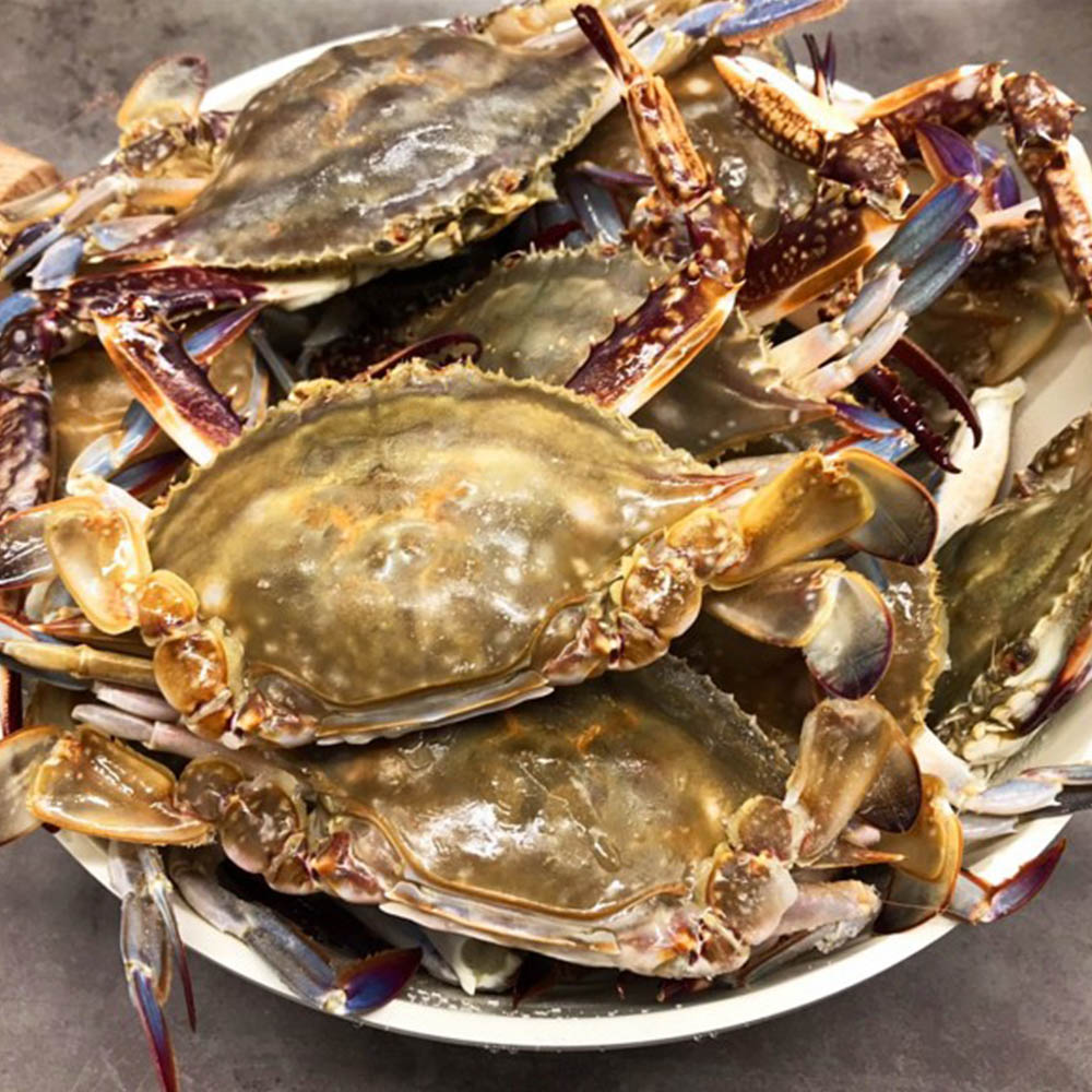 1693964897 thumbnail