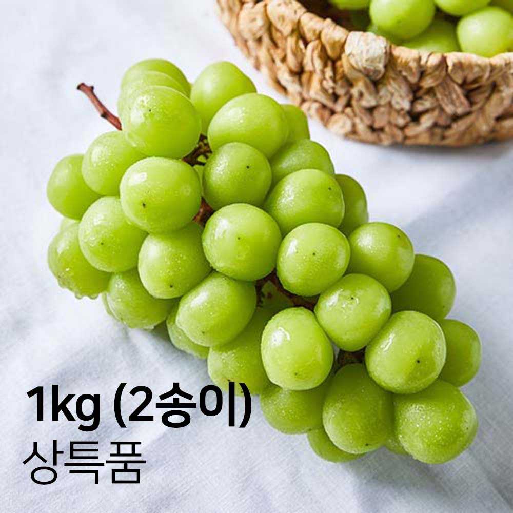 1694061054 thumbnail