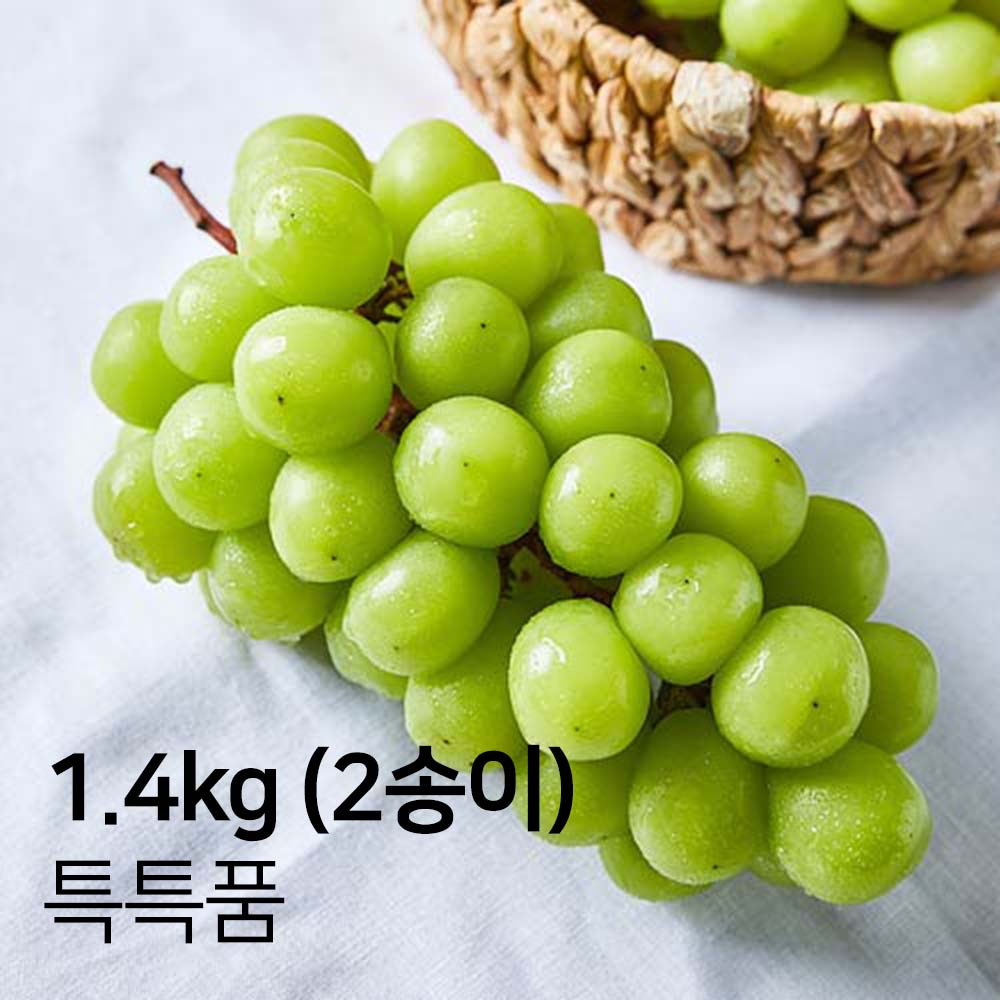 1694061055 thumbnail