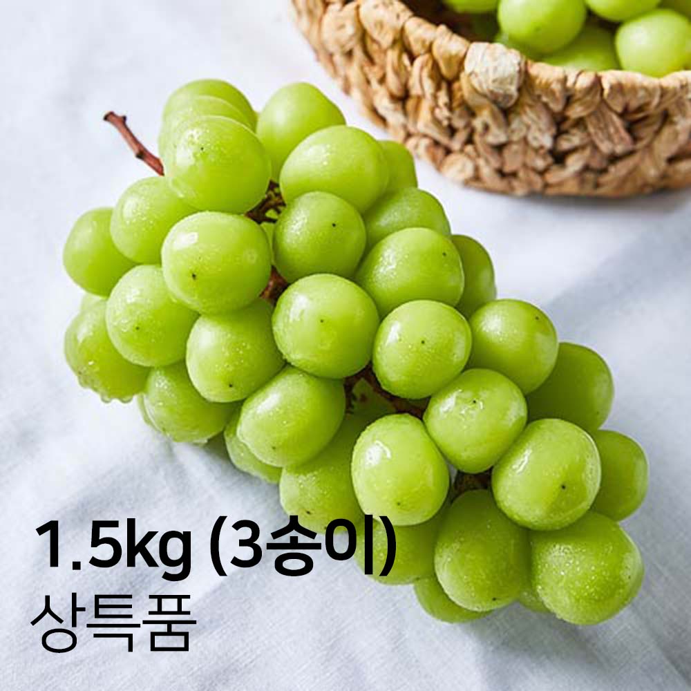 1694061056 thumbnail