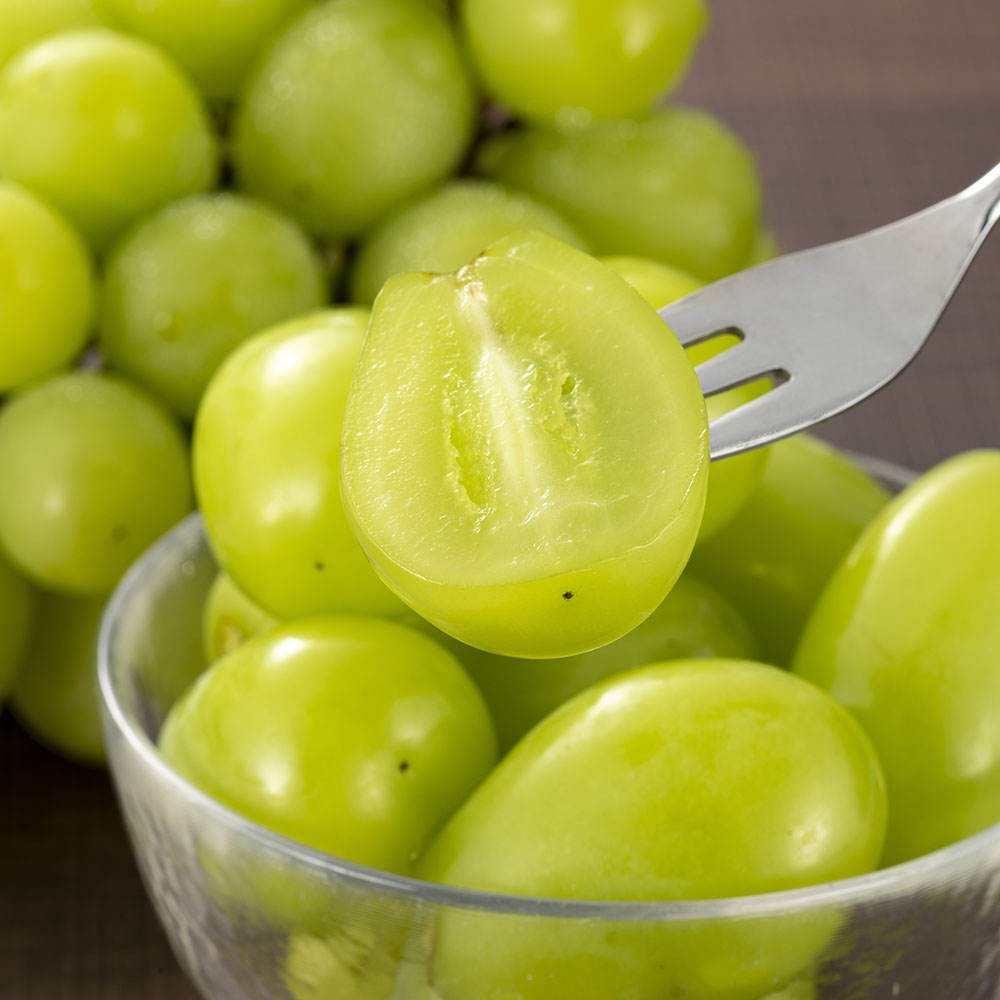 1694149274 thumbnail