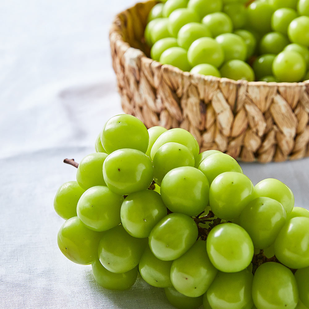 1694149275 thumbnail