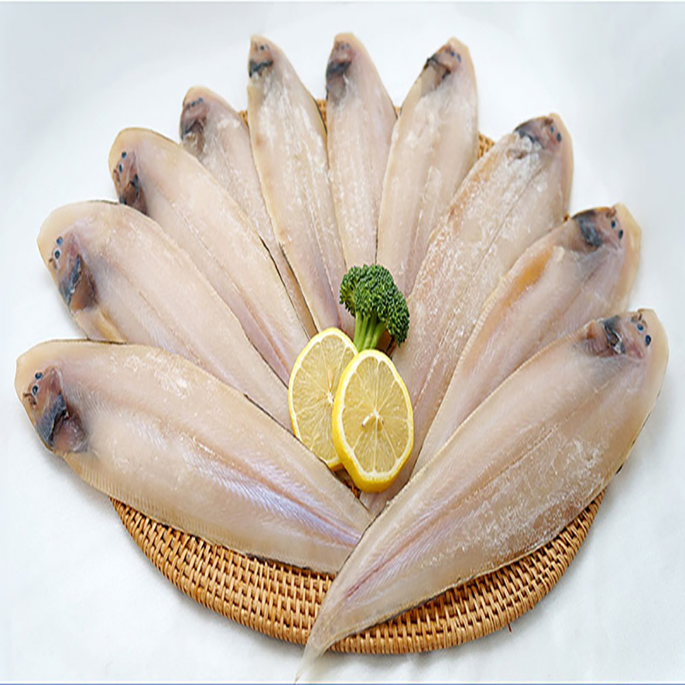 1694149287 thumbnail