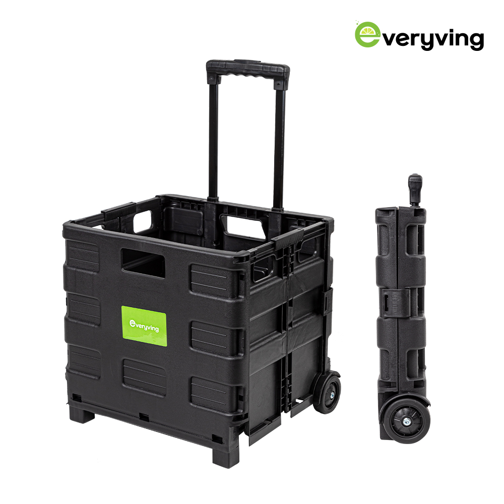 1694149295 thumbnail