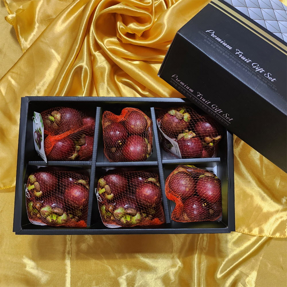 1694420487 thumbnail