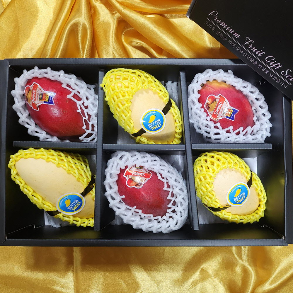 1694420488 thumbnail