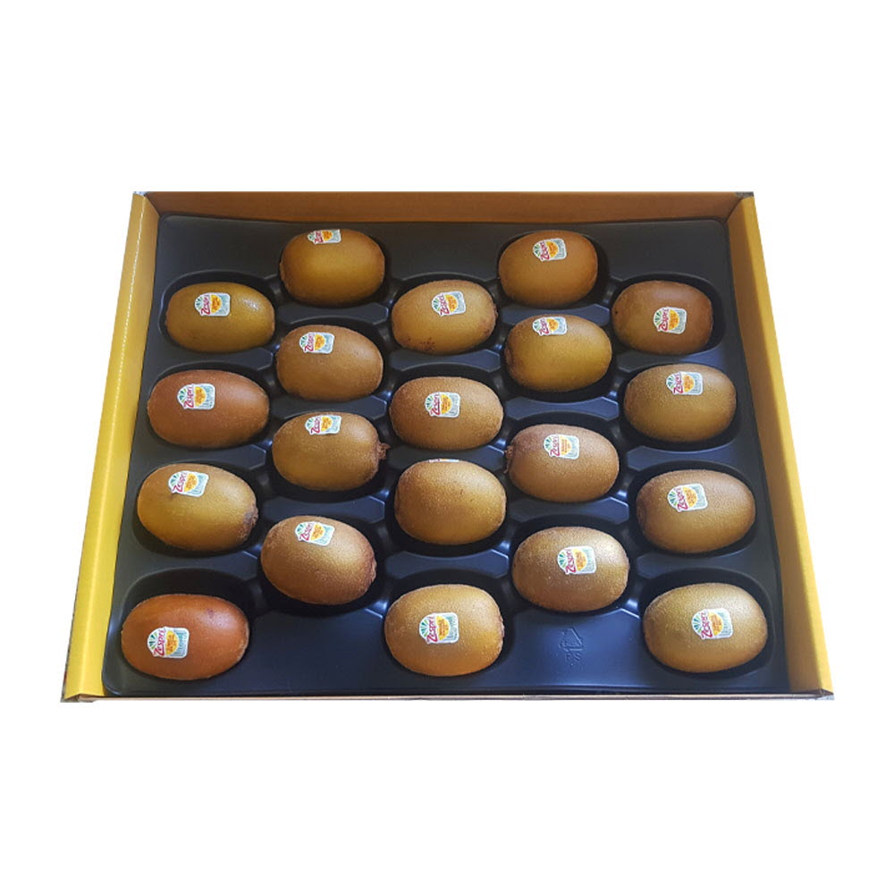 1694420493 thumbnail