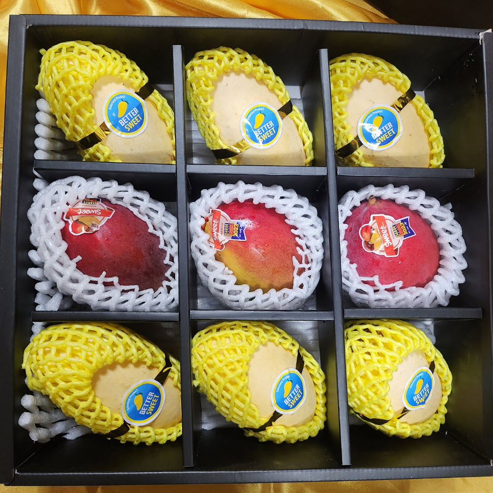 1694420494 thumbnail