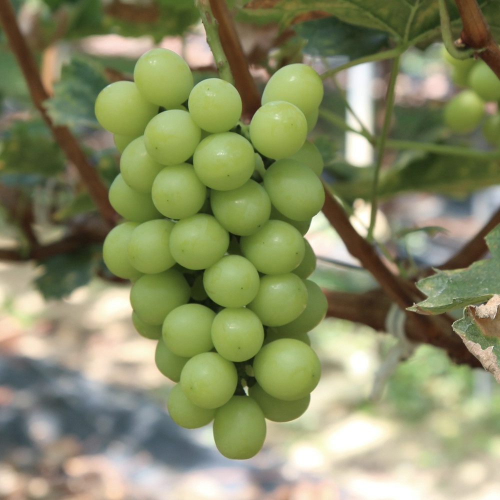 1694576083 thumbnail