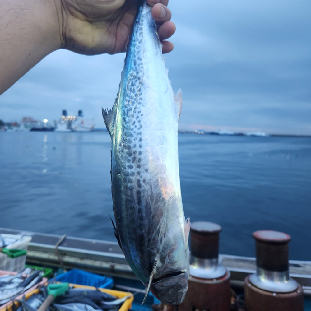 1694576084 thumbnail