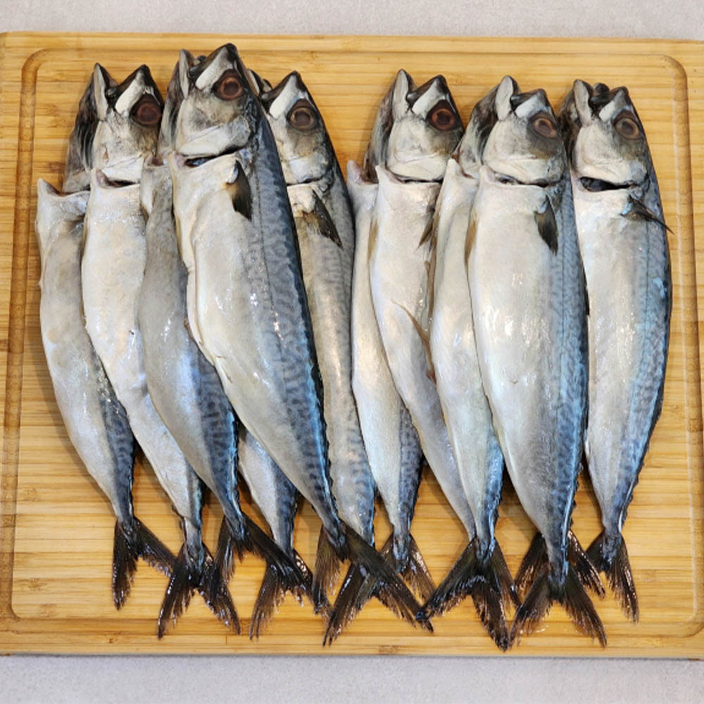 1694743693 thumbnail