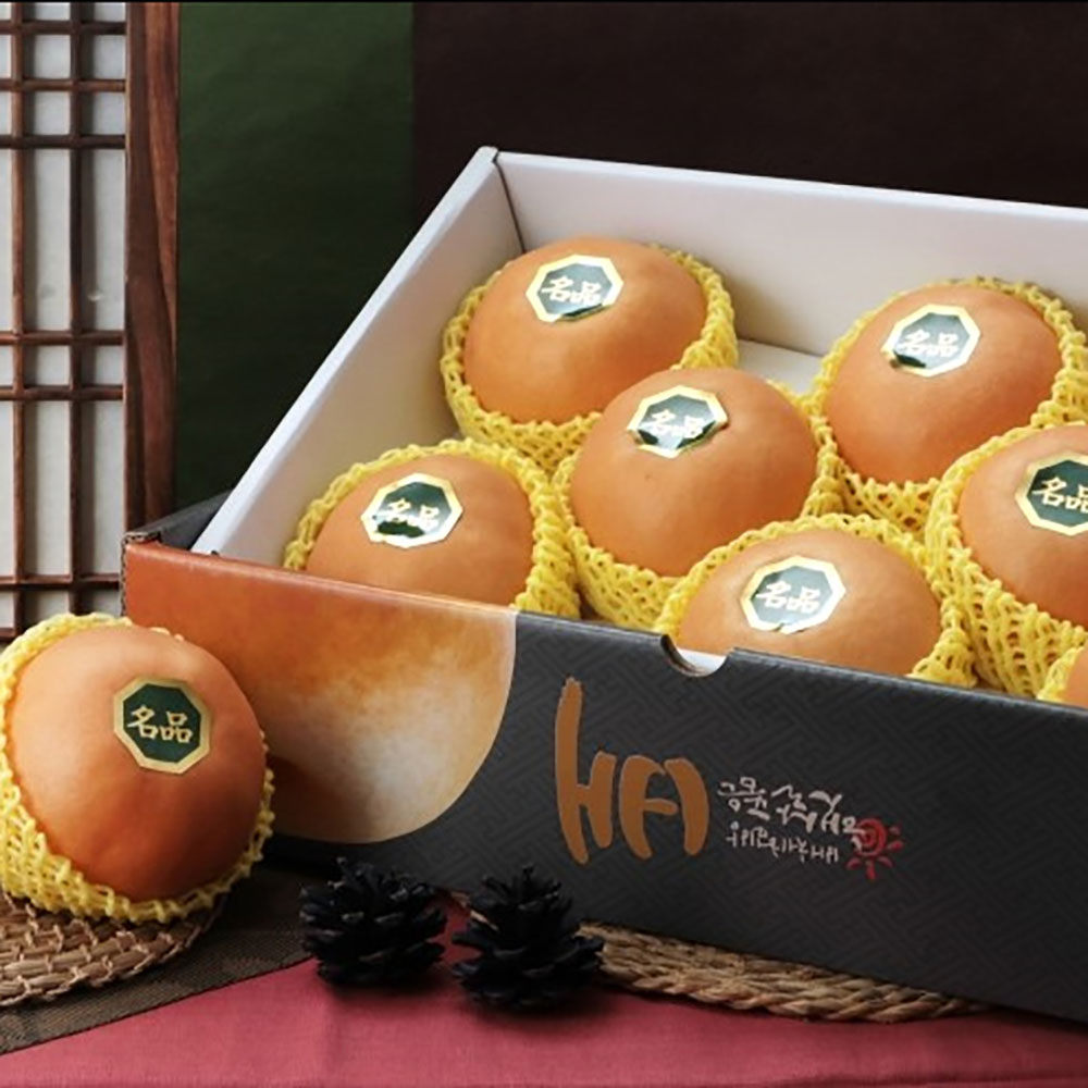 1694762892 thumbnail