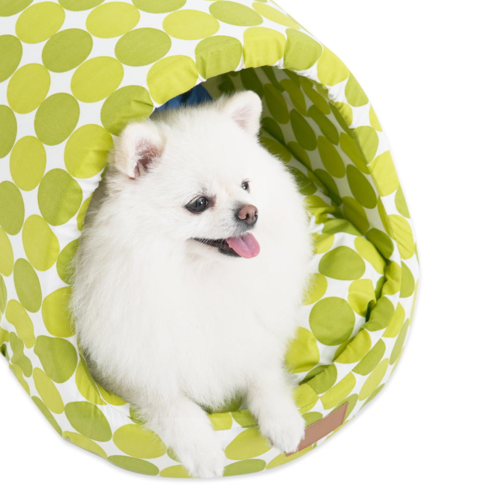 1695021777 thumbnail