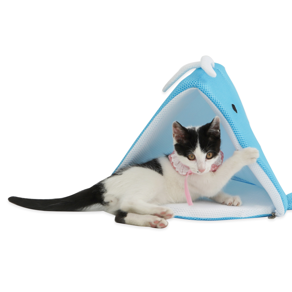 1695021782 thumbnail