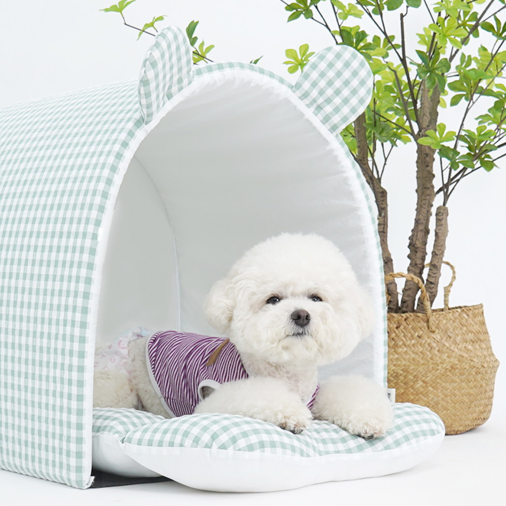 1695021785 thumbnail