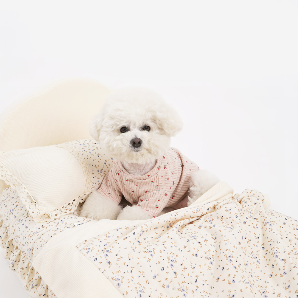 1695021786 thumbnail