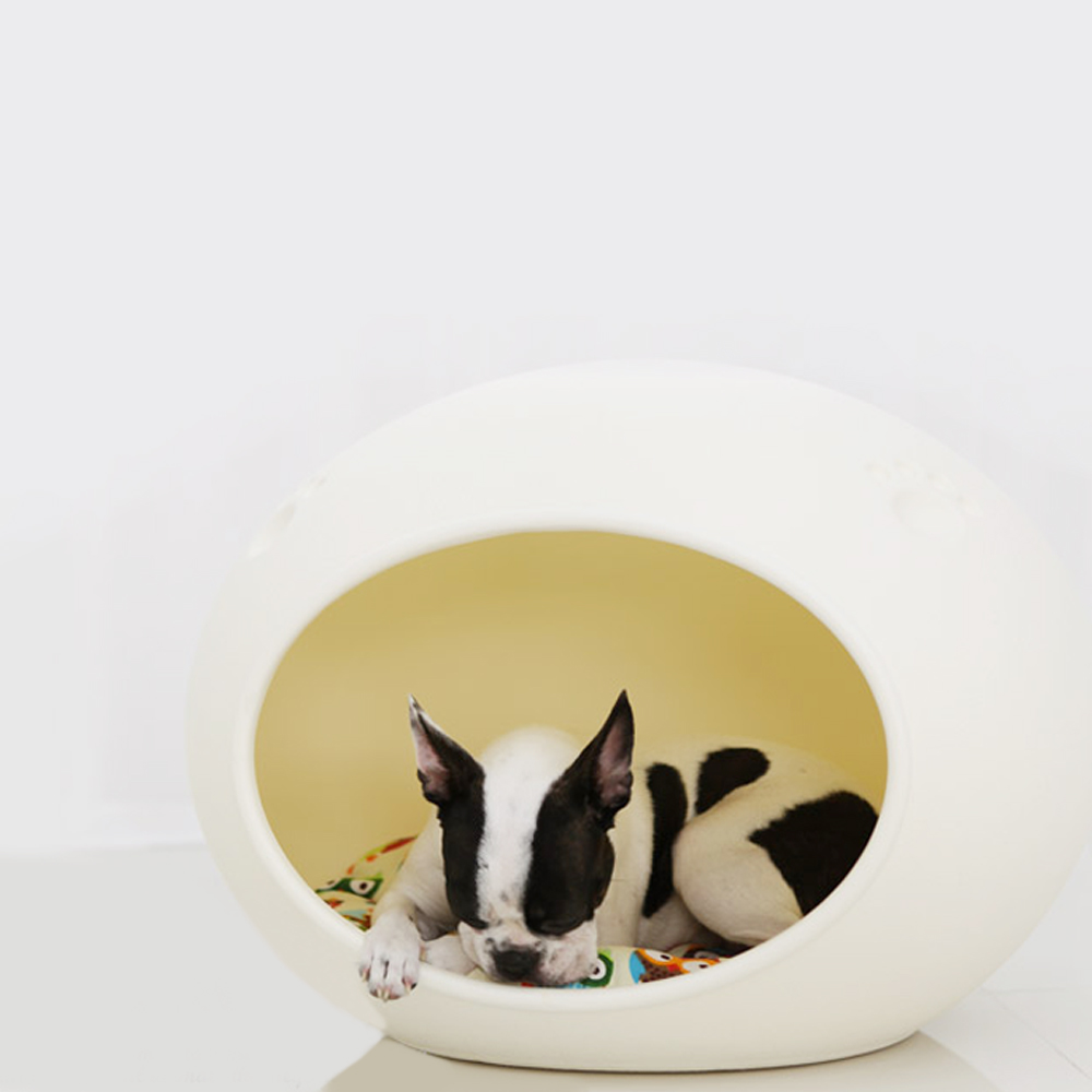 1695021789 thumbnail