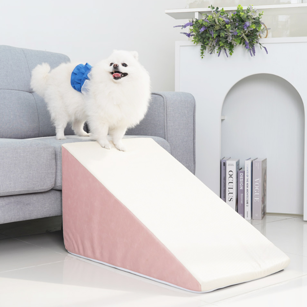 1695021792 thumbnail