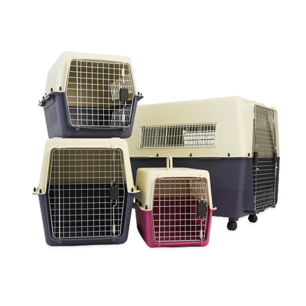 1695021793 thumbnail