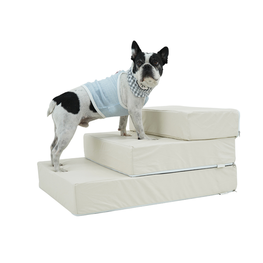 1695021797 thumbnail