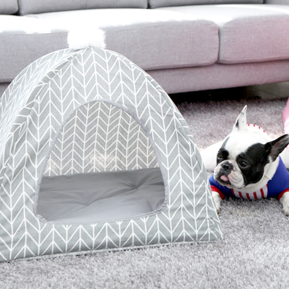 1695021801 thumbnail