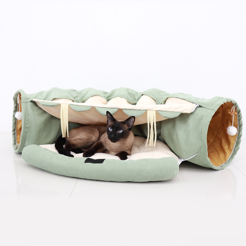 1695021803 thumbnail