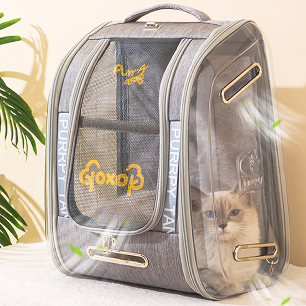 1695021806 thumbnail