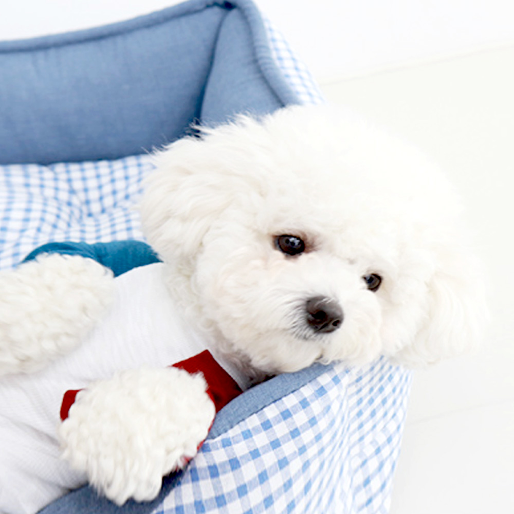 1695021818 thumbnail