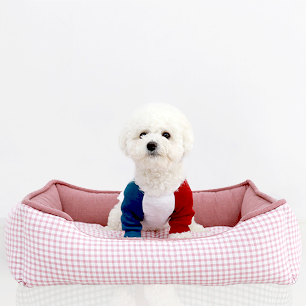 1695021819 thumbnail