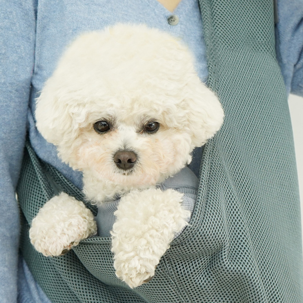 1695021826 thumbnail