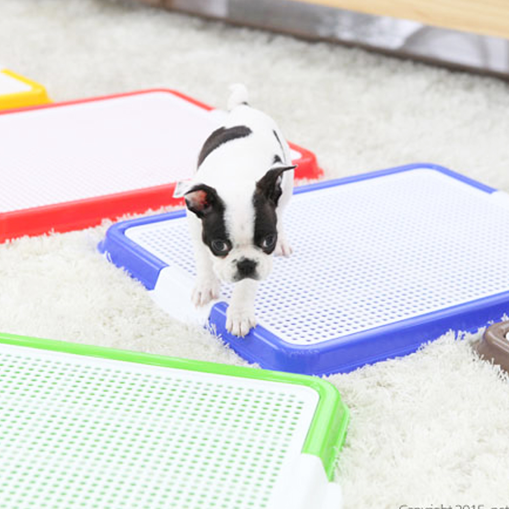 1695021833 thumbnail