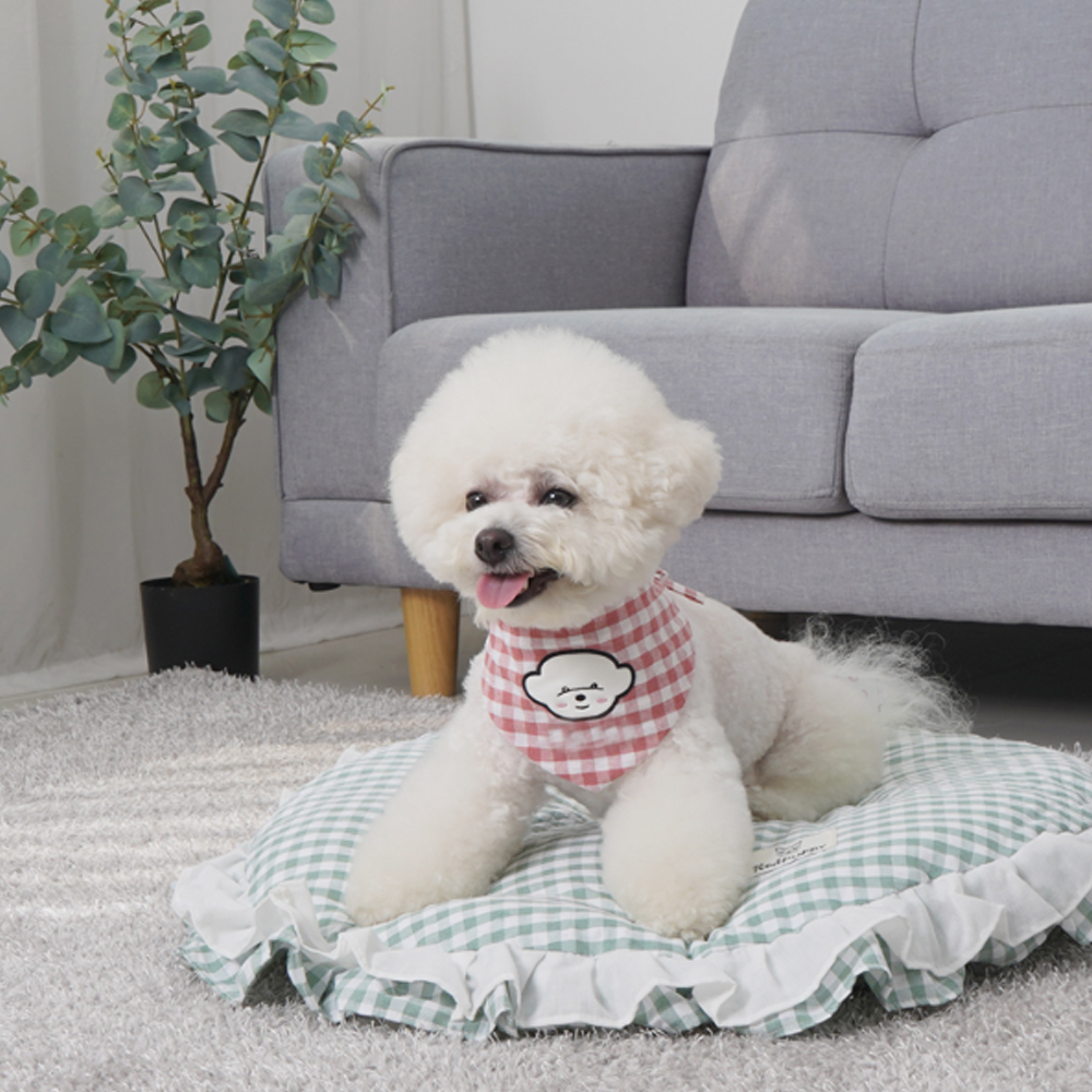 1695083476 thumbnail