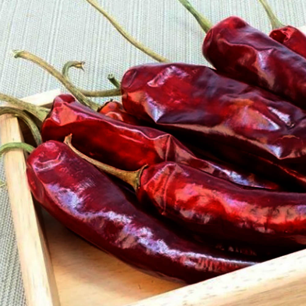 1695098764 thumbnail