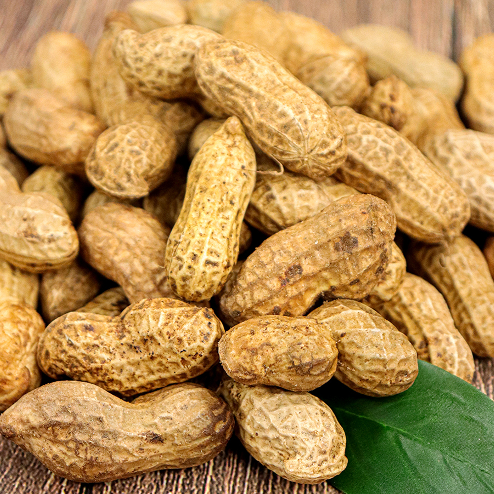 1695630286 thumbnail