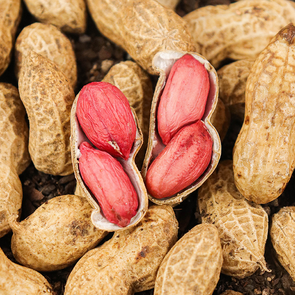 1695630287 thumbnail