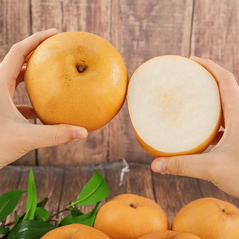 1695630289 thumbnail