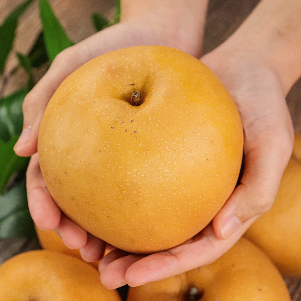 1695630290 thumbnail