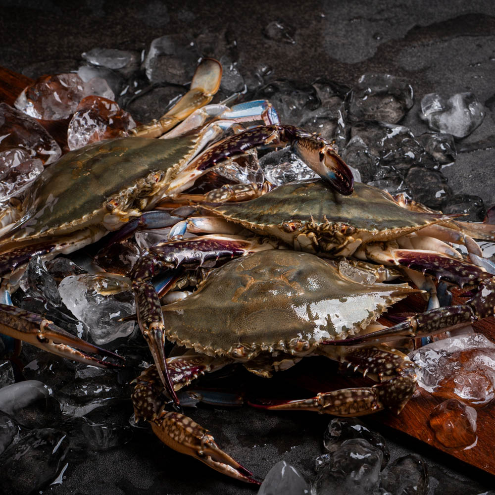 1696388870 thumbnail