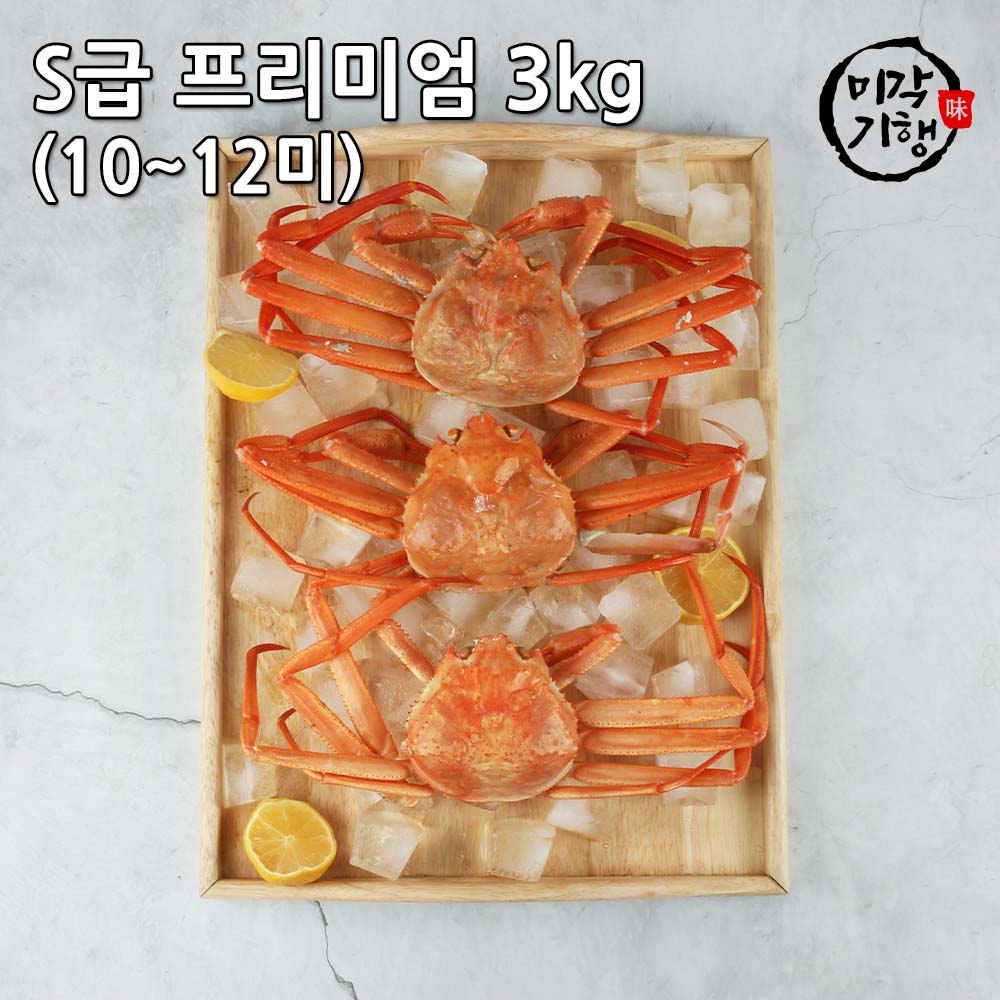 1696391237 thumbnail