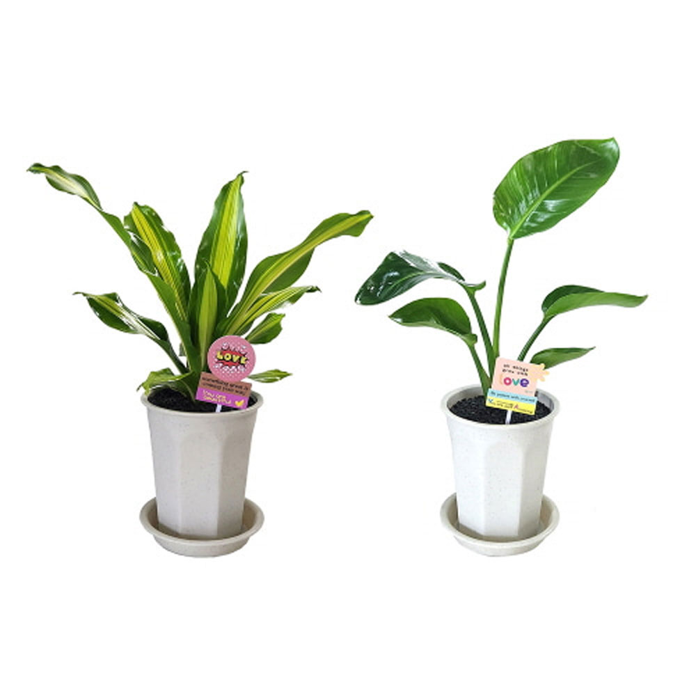 1696470701 thumbnail