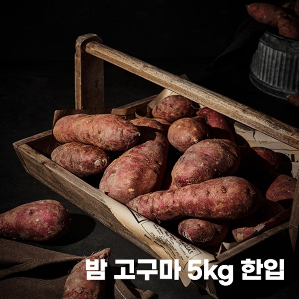 1696564059 thumbnail