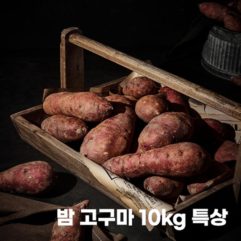 1696564065 thumbnail