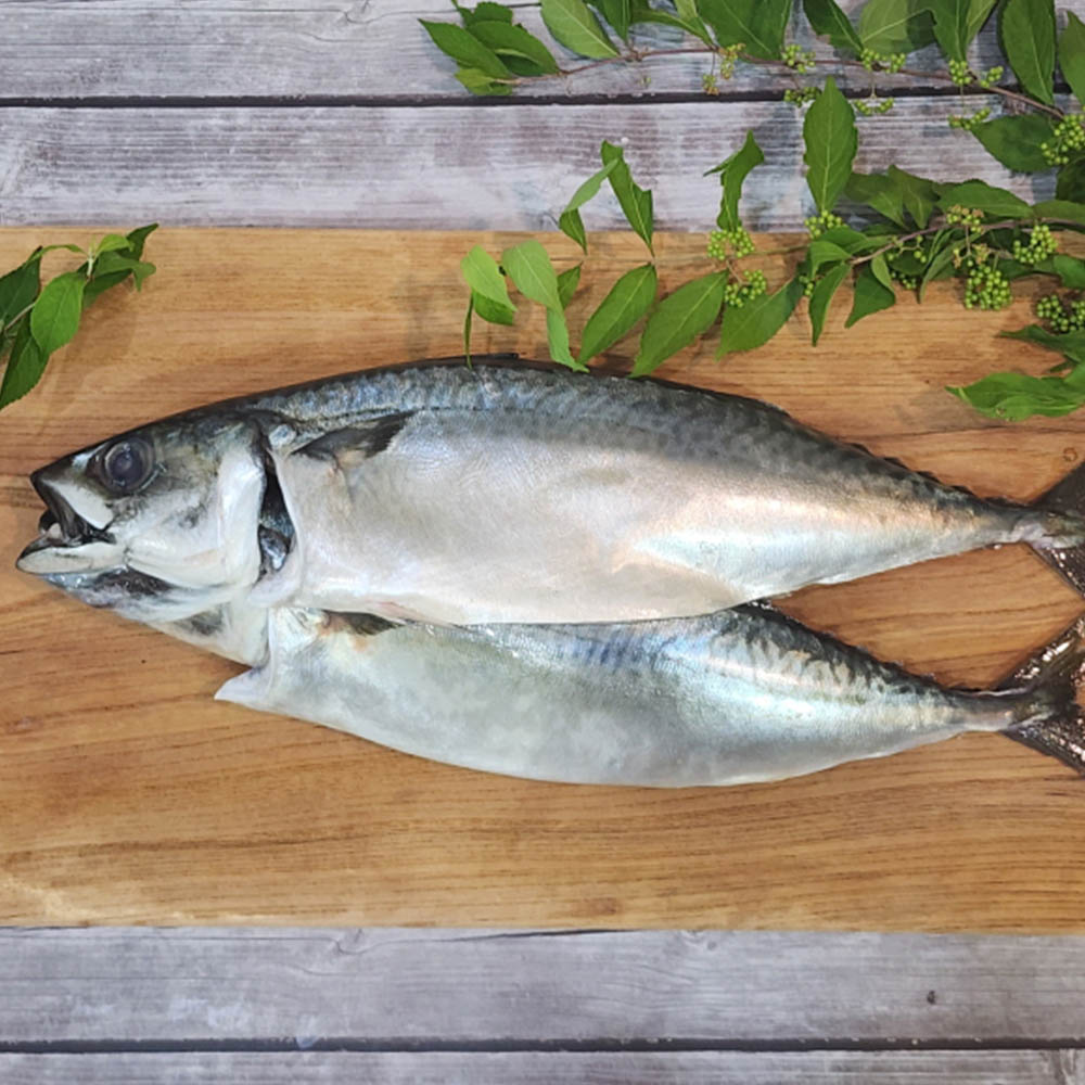 1696573183 thumbnail