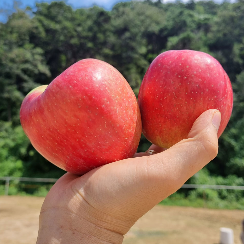 1696992300 thumbnail