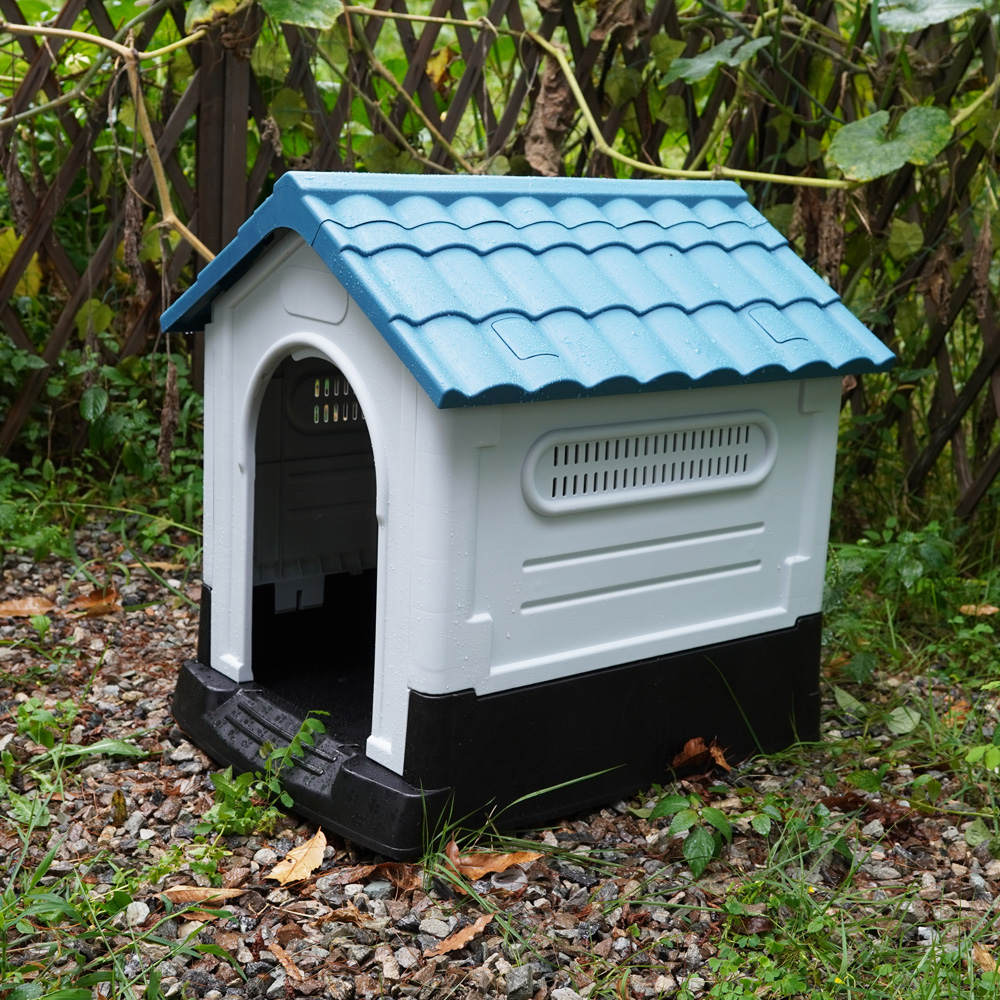 1697158423 thumbnail