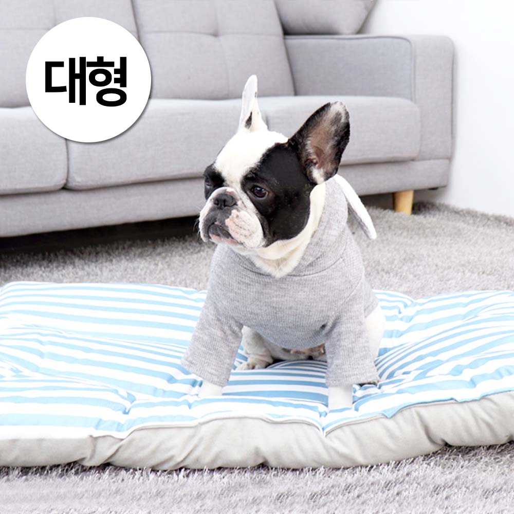 1697158426 thumbnail